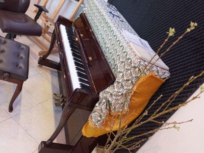 آموزش و تدریس خصوصی پیانو در شیراز